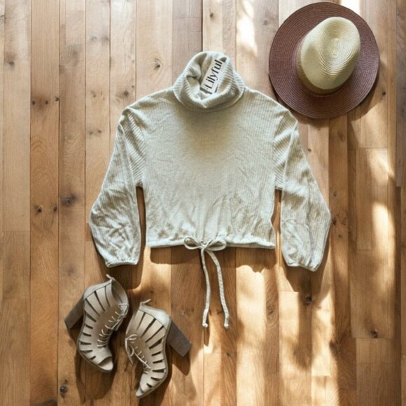 Lilyful Sweaters - Lilyful Cropped Turtleneck Long sleeve Top NWT Size M